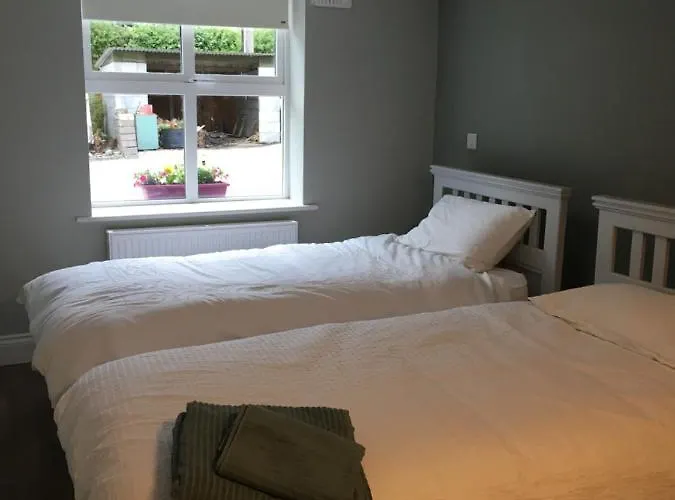 Apartment Mod's Place Nenagh